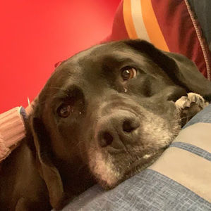 Meet your Posher, Caroline